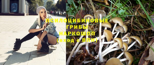 mix Алексеевка