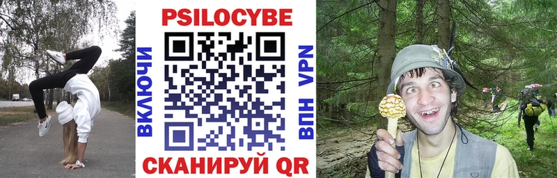 hydra   цена   Разумное  Галлюциногенные грибы Psilocybine cubensis 